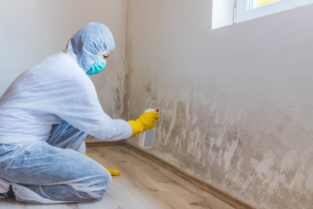 Commercial Mold Remediation assessment for commercial property in Westfield