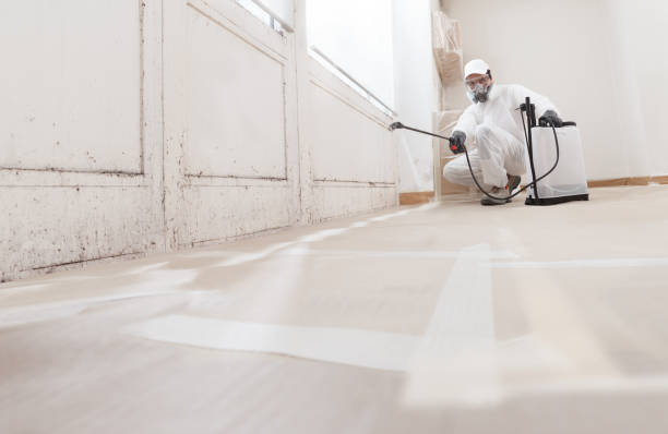 Post-remediation clearance in Westfield